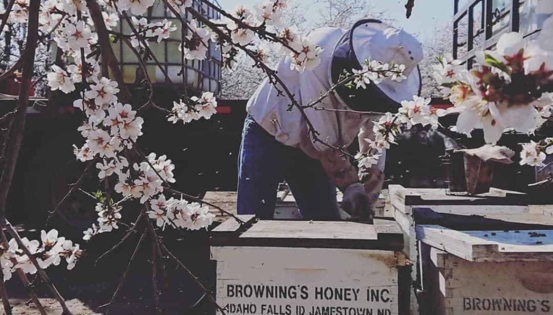Browning's Honey Inc